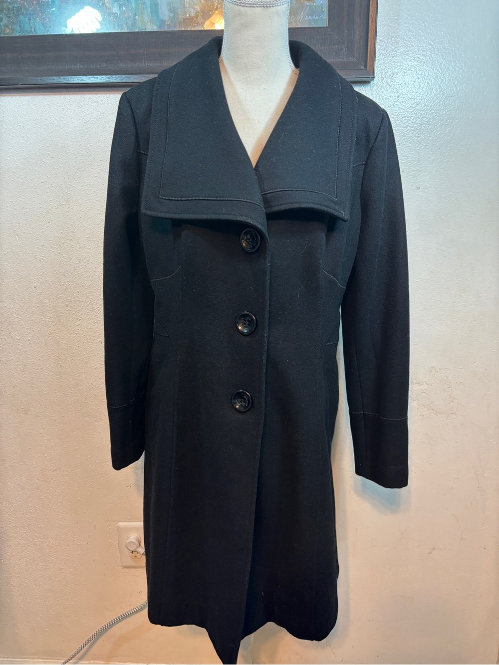 Stunning Black Trench Coat